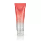 Joico YOUTH LOCK Conditioner 250ml