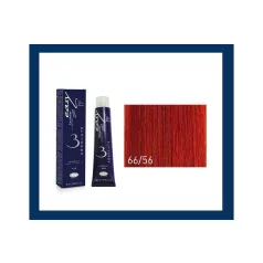 LISAP EASY Absolute3 66/56