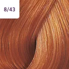 Wella COLOR TOUCH 8/43