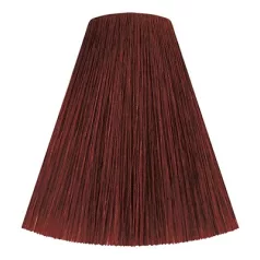 Londacolor 5/5