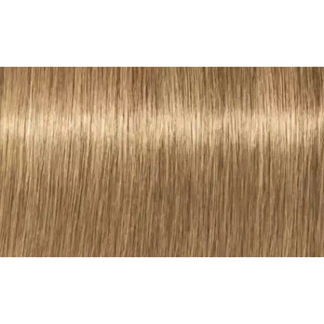 INDOLA Blonde Expert Highlift 1000.22