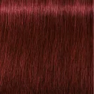 Indola 5.66x