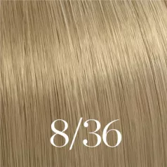 WELLA Illumina 8/36