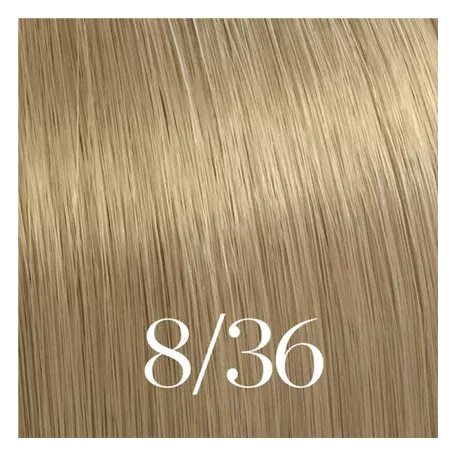 WELLA Illumina 8/36