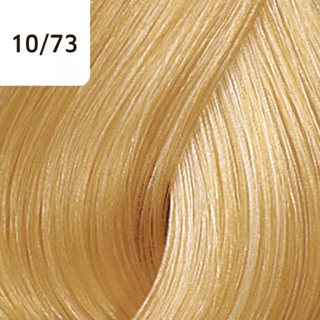 Wella COLOR TOUCH 10/73