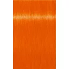 Indola Crea-Bold - Neaon Tangerine - 100 ml