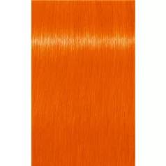 Indola Crea-Bold - Neaon Tangerine - 100 ml