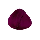 DIRECTIONS Dark Tulip