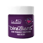 DIRECTIONS Plum