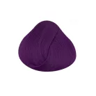 DIRECTIONS Plum