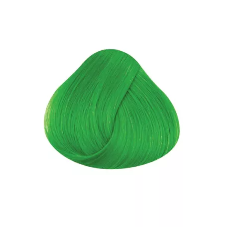 DIRECTIONS Spring Green