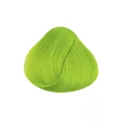 DIRECTIONS Fluorescent Lime