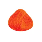 DIRECTIONS Fluorescent Orange