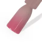 MN Quick Ombre Spray 05 - 5 g