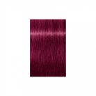 Schwarzkopf IGORA VIBRANCE 0-99