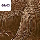 Wella COLOR TOUCH PLUS 66/03