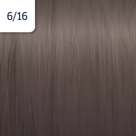 WELLA Illumina 6/16