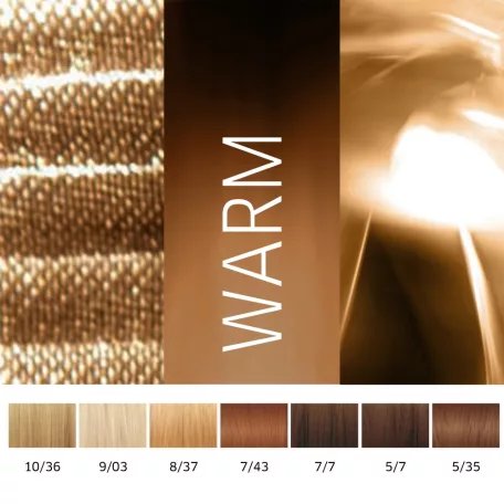 WELLA Illumina 6/76