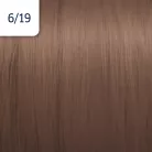 WELLA Illumina 6/19