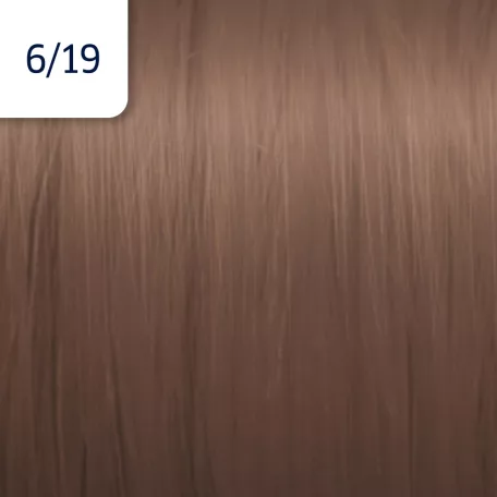 WELLA Illumina 6/19