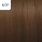 WELLA Illumina 6/37