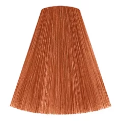 Londacolor 8/4