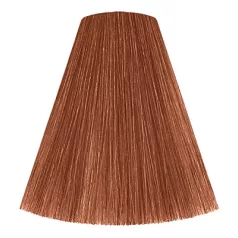 Londacolor 8/41