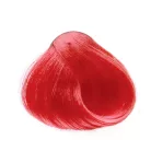 ORO Therapy Red