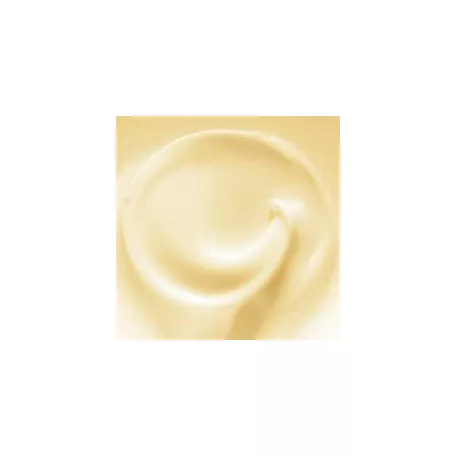 OROFLUIDO Radiance Argan Mask - hajpakoló argánolajjal 500 ml