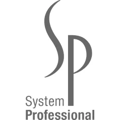 SYSTEM PROFESSIONAL